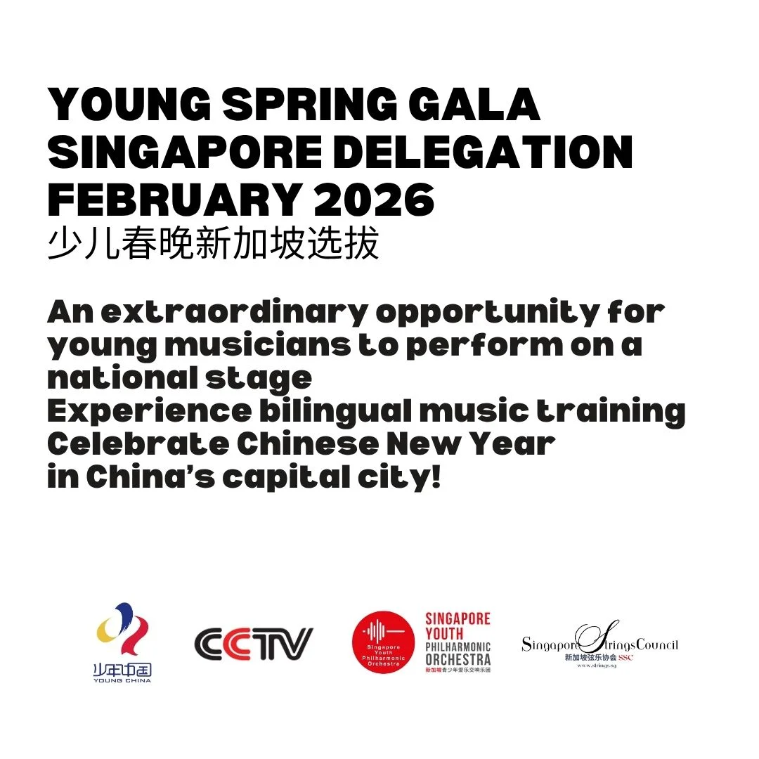 CCTV Young Spring Gala